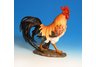 Rooster