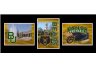 Baylor Bears Triple Shot Wall Hanging