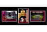 Florida State Triple Shot Wall Hanging