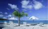 beach resort push-up umbrellas