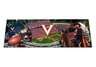 Virginia Tailgate Party Rug