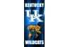 Kentucky Wildcats 9.5