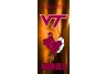 Virginia Tech Hokies 9.5