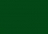Green Color Swatch