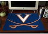 Virginia Mascot Deskpad