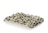 Bindy Bed in Cream w/ black paw prints