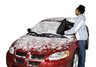 windshield cover