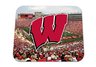Wisconsin Football Mouse Mate