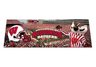 Wisconsin Football Tailgate Party Rug