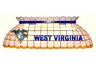 West Virginia Pool Table Lamp