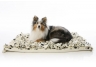 Cream & Black Bindy Bed