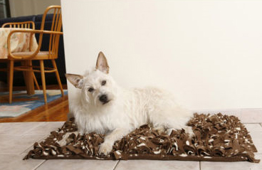 Pet Beds